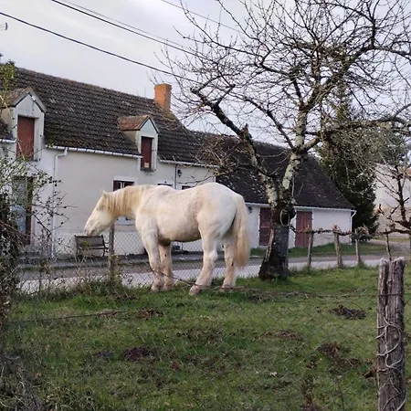 Gite 3 Du Bas Coudreau Rosnay  Esterno foto