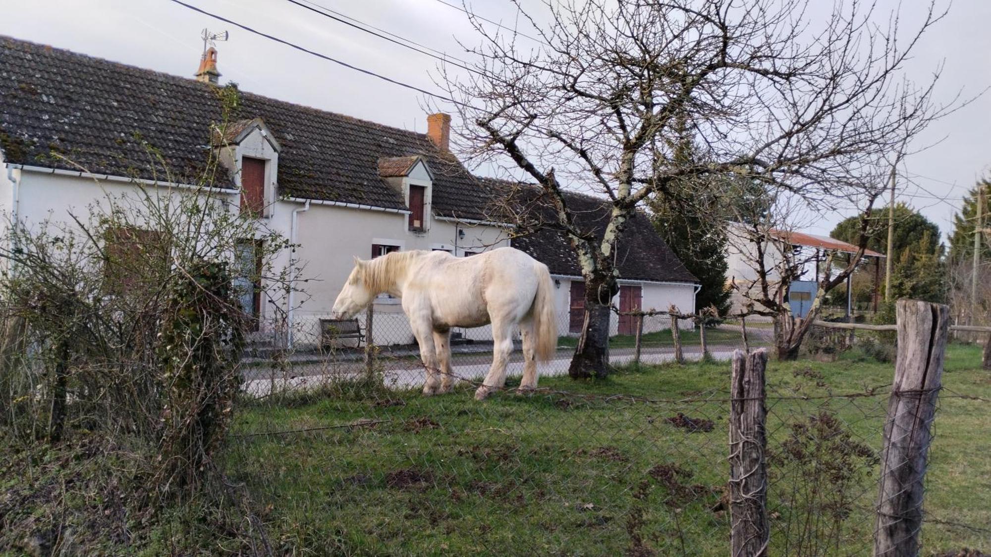 3 Du Bas Coudreau *