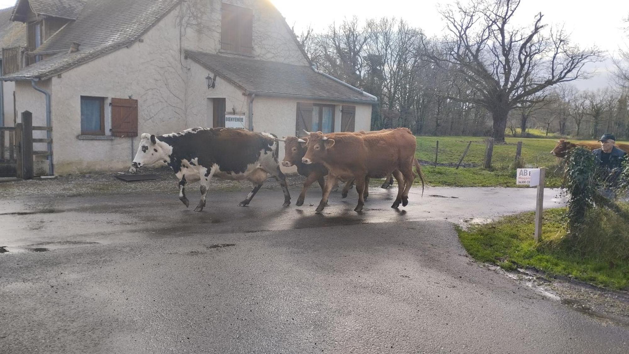 3 Du Bas Coudreau * Rosnay (Indre)